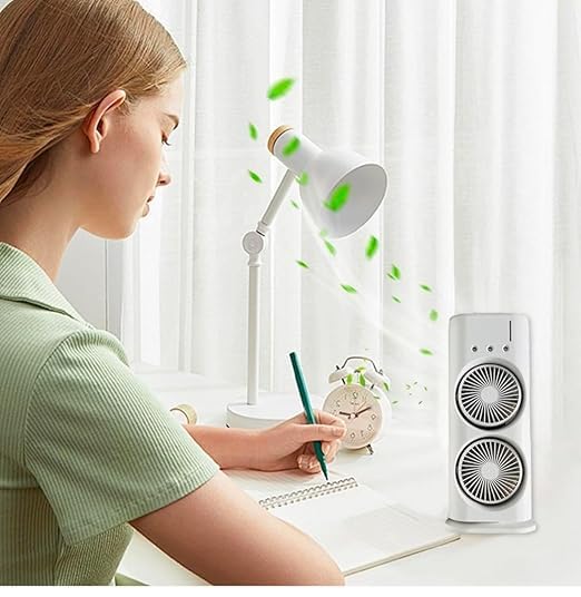 Double End Air Cooler Fan